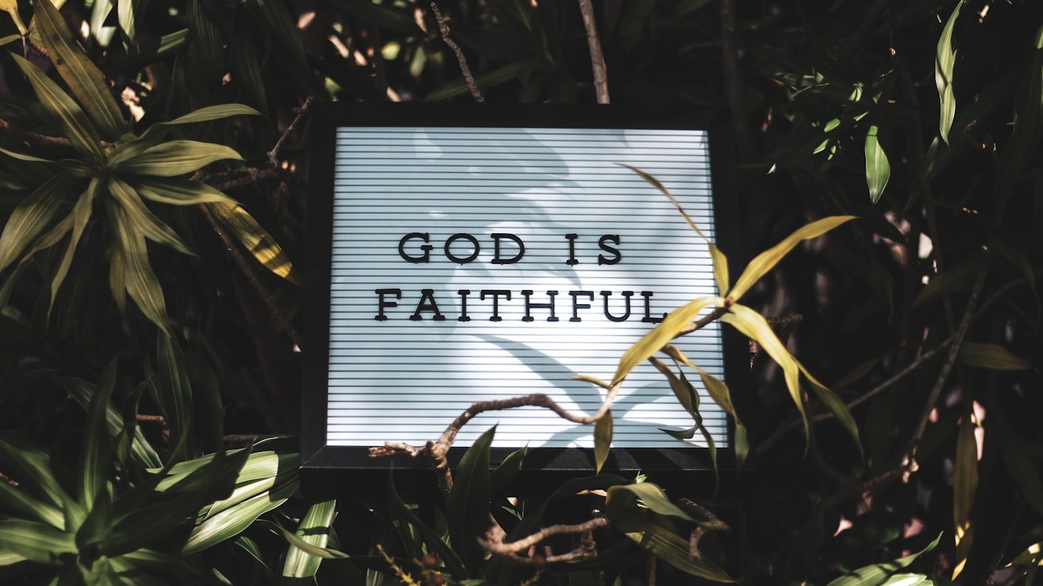 Developing Habits That Strengthen Your Faith